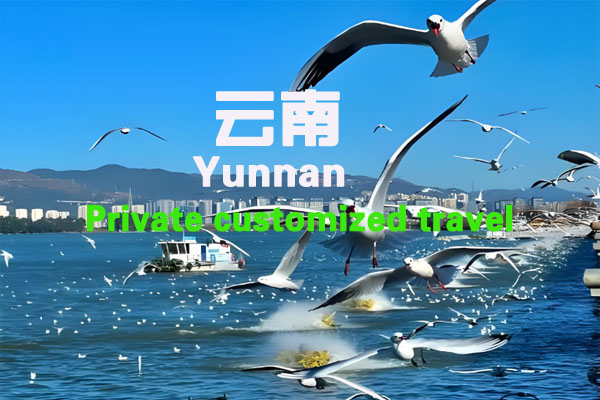 云南5天4晚VIP游